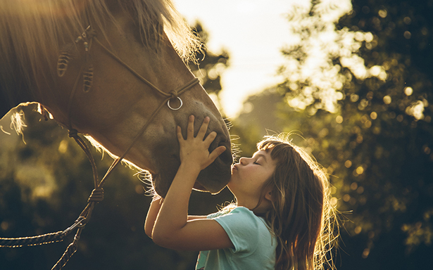 girl kissing a belowed horse